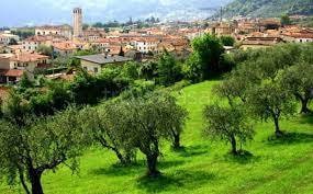 Terreno a Bassano del Grappa · Via San Bortolo